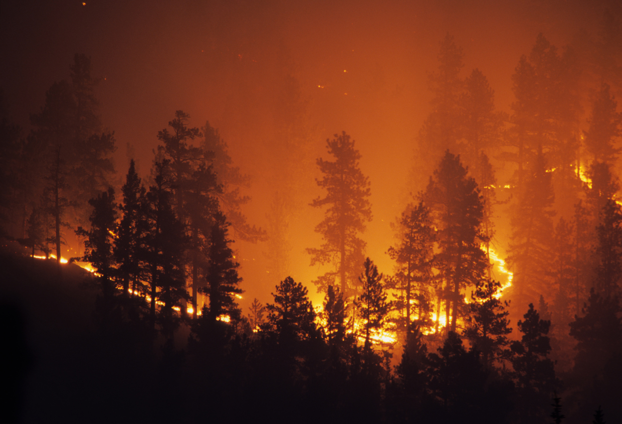 Strong Winds to Whip Up Wildfires Tomorrow