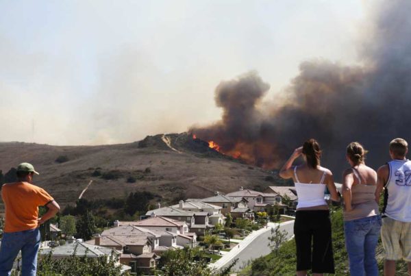 How to Survive a Wildfire and Save Your Home